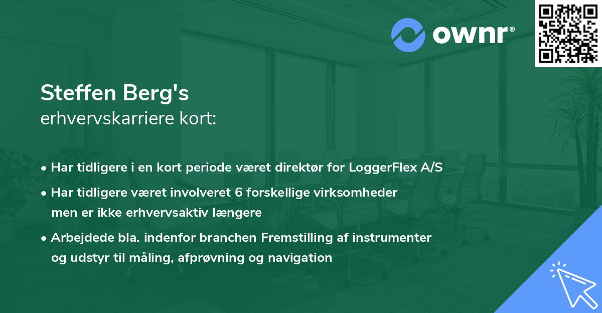 Steffen Berg's erhvervskarriere kort