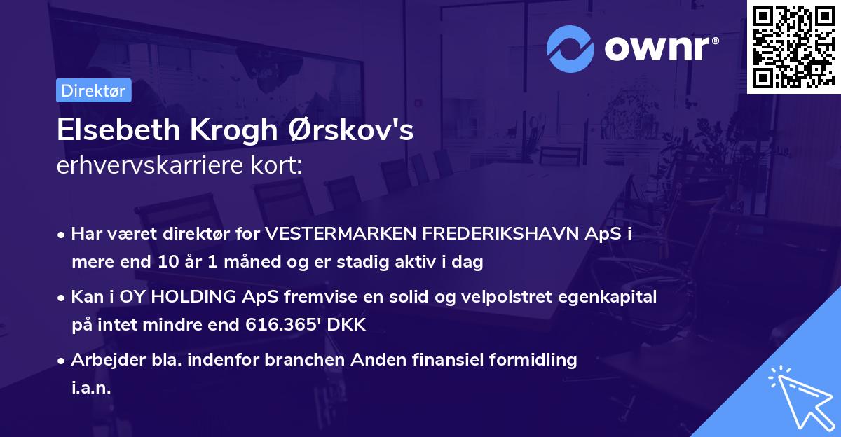 Elsebeth Krogh Ørskov's erhvervskarriere kort