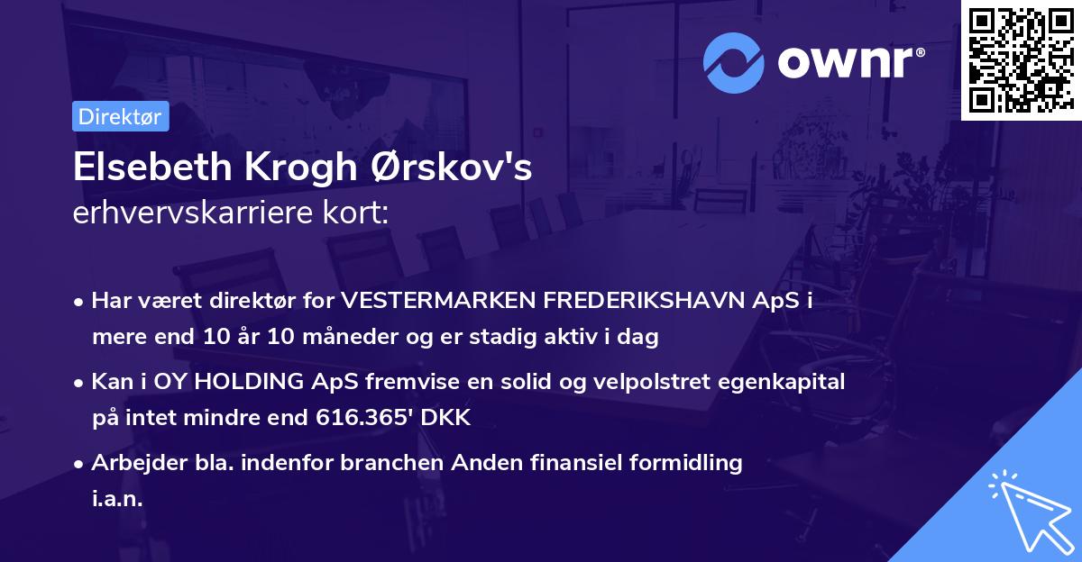 Elsebeth Krogh Ørskov's erhvervskarriere kort