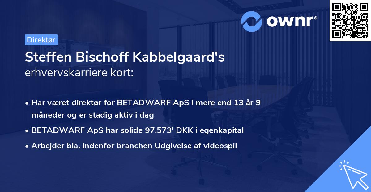 Steffen Bischoff Kabbelgaard's erhvervskarriere kort
