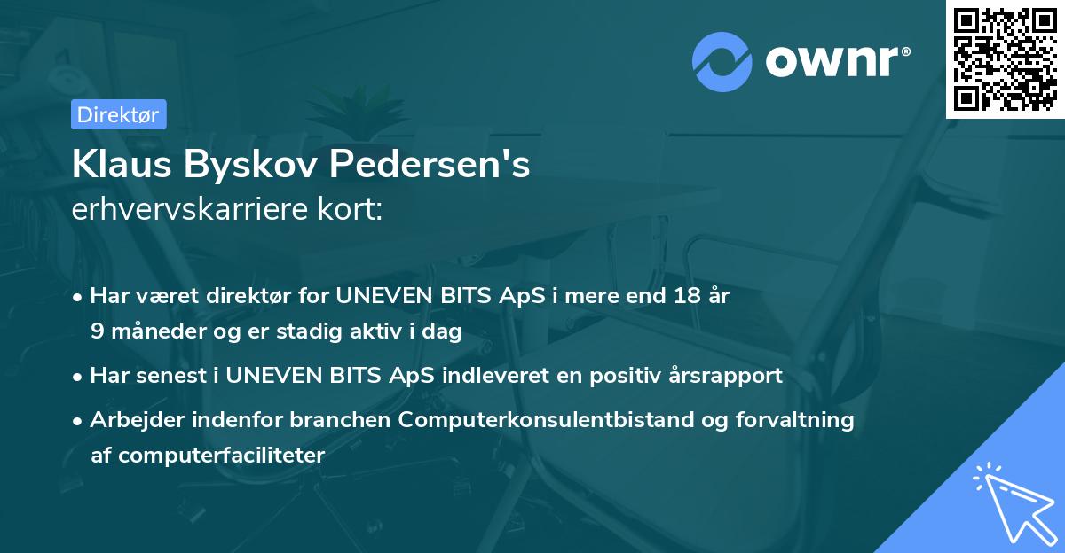 Klaus Byskov Pedersen's erhvervskarriere kort