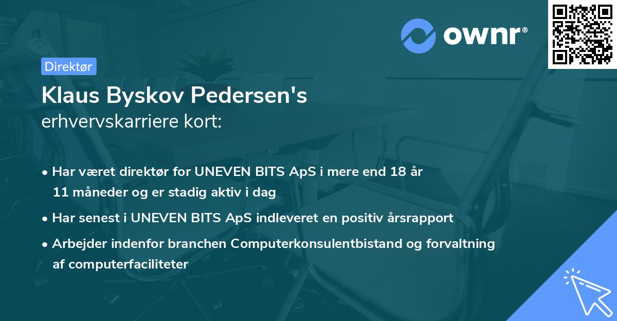 Klaus Byskov Pedersen's erhvervskarriere kort