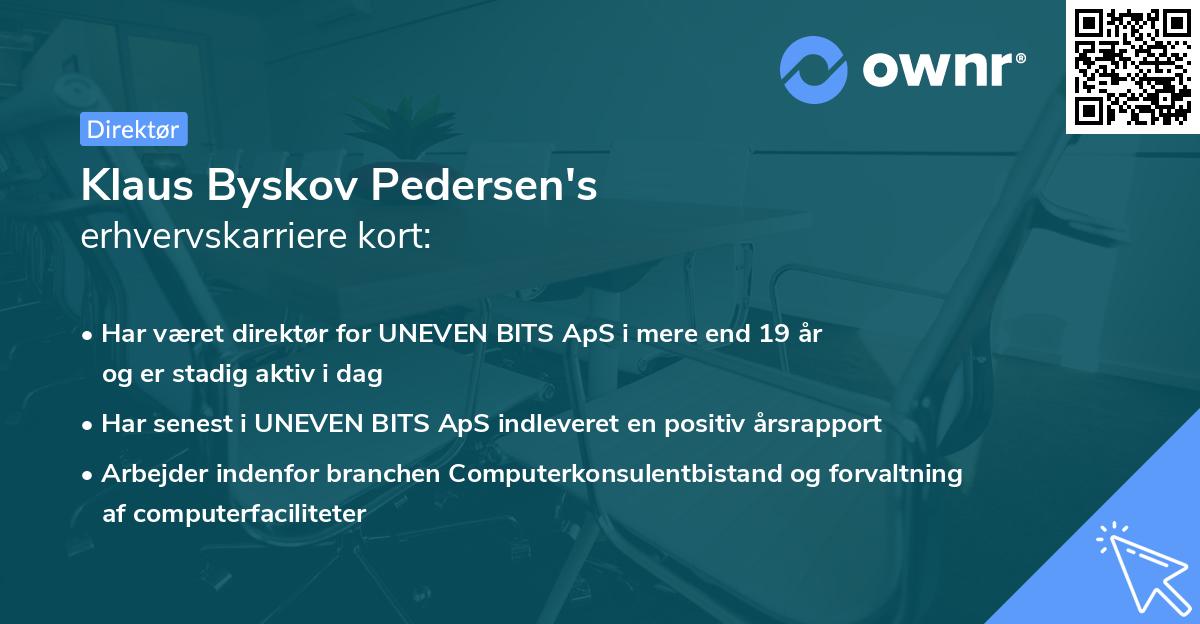 Klaus Byskov Pedersen's erhvervskarriere kort