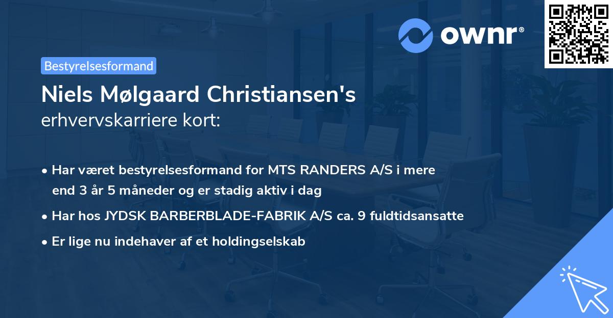 Niels Mølgaard Christiansen's erhvervskarriere kort