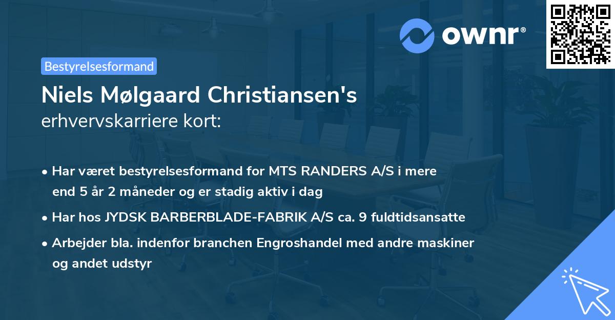 Niels Mølgaard Christiansen's erhvervskarriere kort