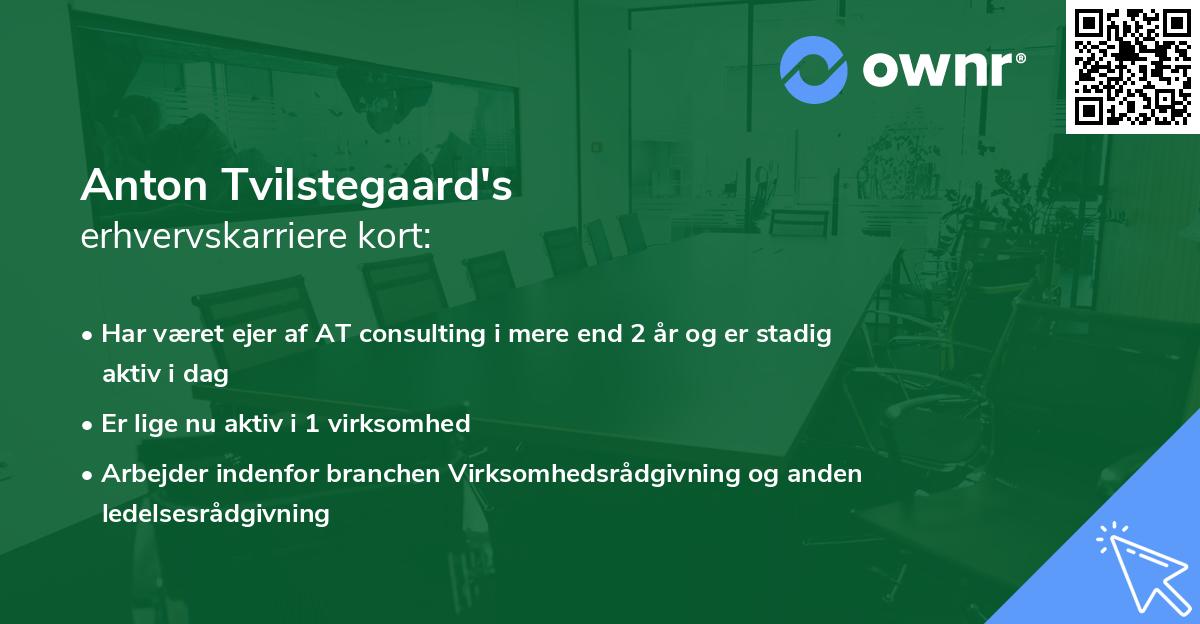 Anton Tvilstegaard's erhvervskarriere kort