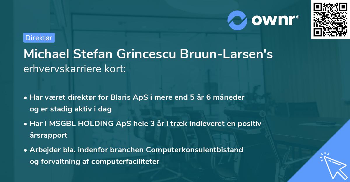 Michael Stefan Grincescu Bruun-Larsen's erhvervskarriere kort