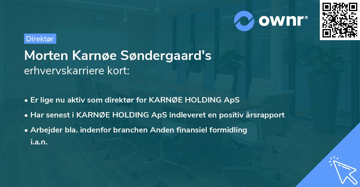Morten Karnøe Søndergaard's erhvervskarriere kort