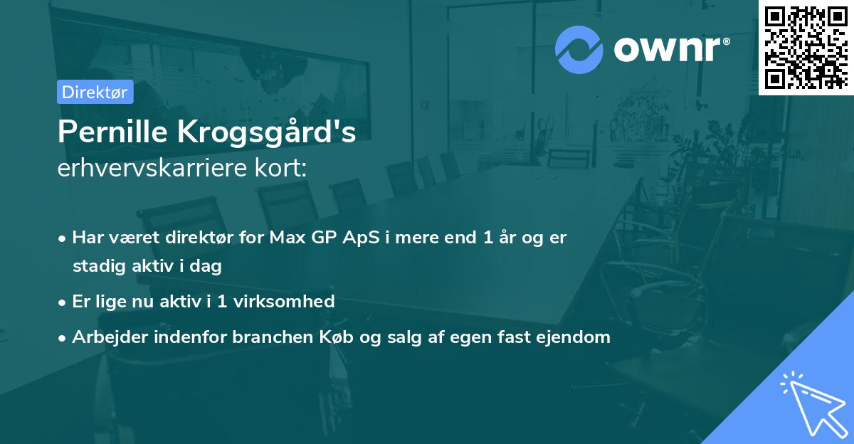 Pernille Krogsgård's erhvervskarriere kort