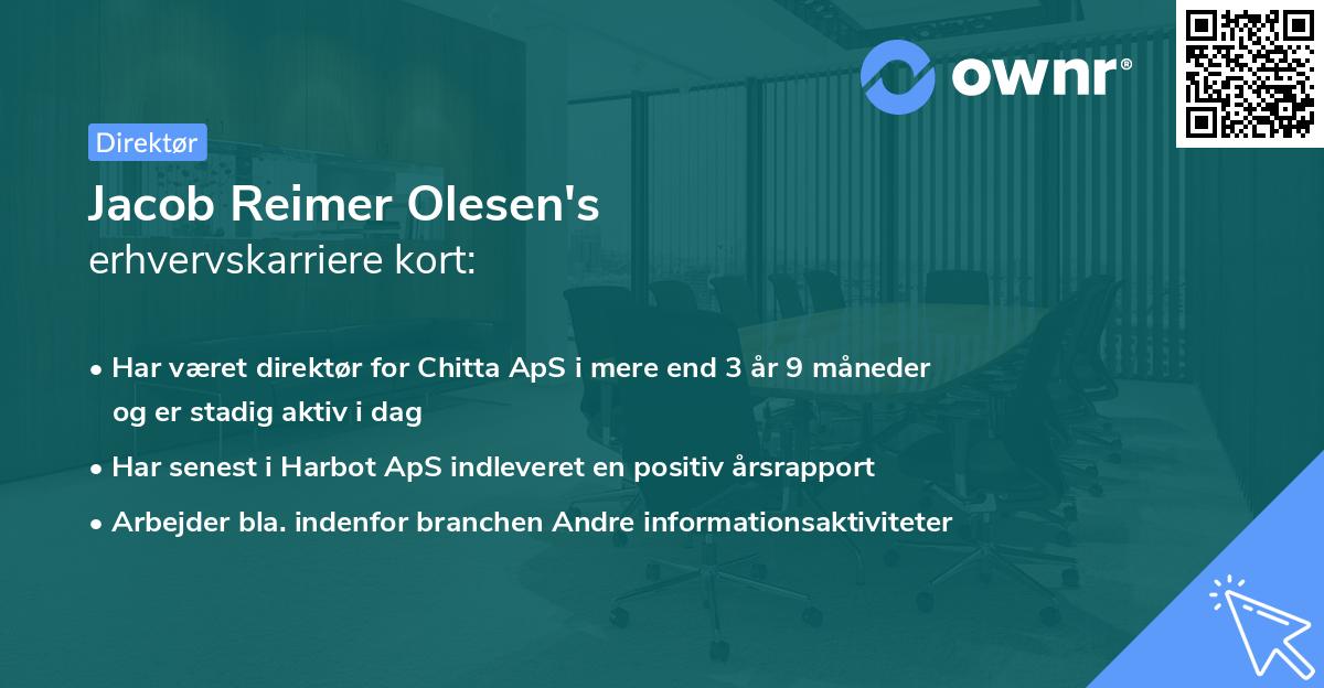 Jacob Reimer Olesen's erhvervskarriere kort