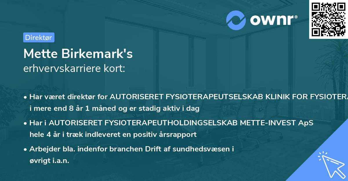 Mette Birkemark's erhvervskarriere kort