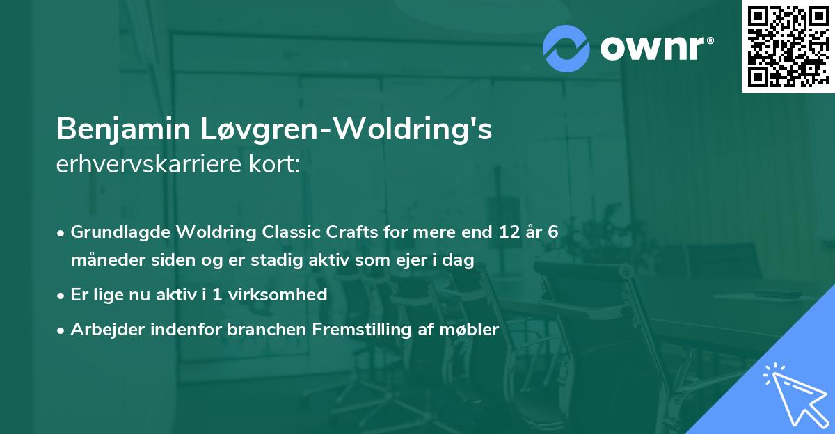 Benjamin Løvgren-Woldring's erhvervskarriere kort