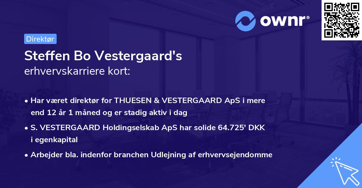 Steffen Bo Vestergaard's erhvervskarriere kort