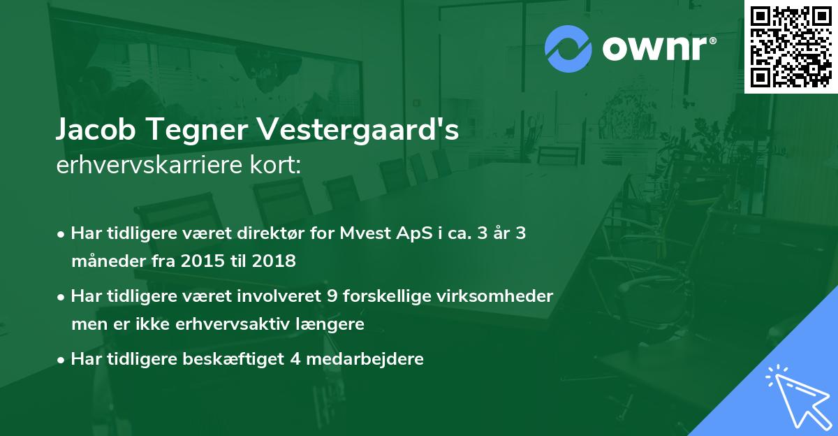 Jacob Tegner Vestergaard's erhvervskarriere kort
