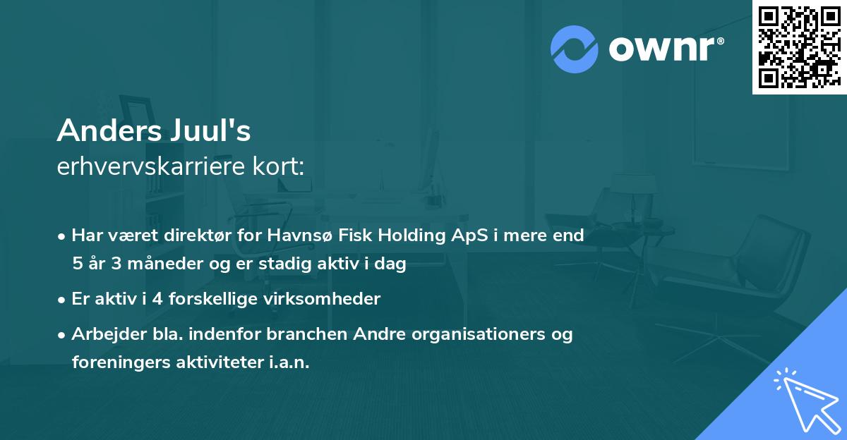 Anders Juul's erhvervskarriere kort