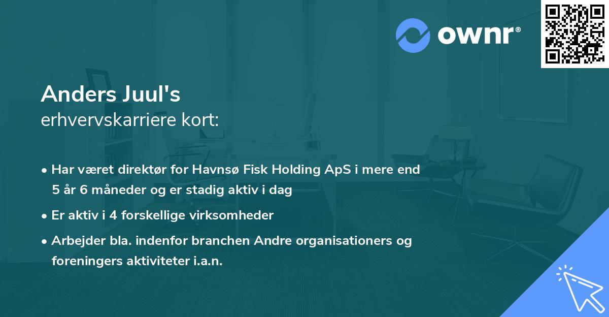 Anders Juul's erhvervskarriere kort