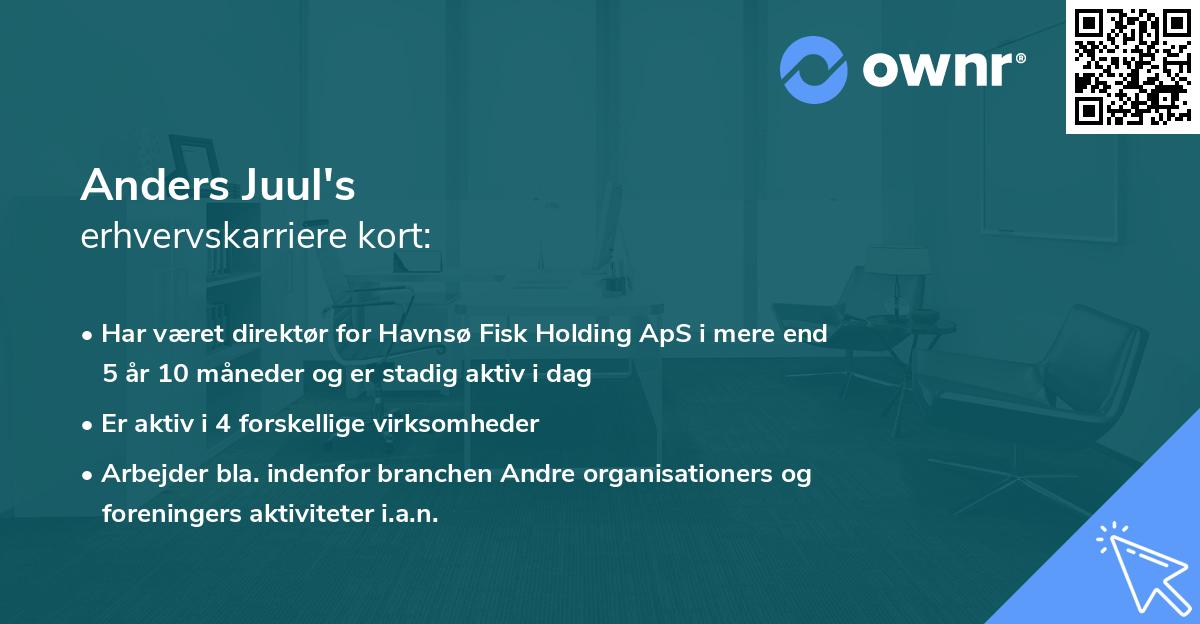 Anders Juul's erhvervskarriere kort