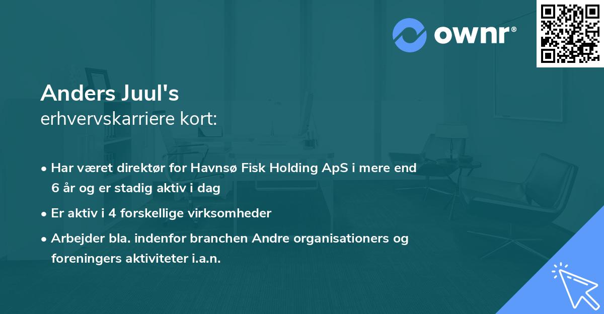 Anders Juul's erhvervskarriere kort
