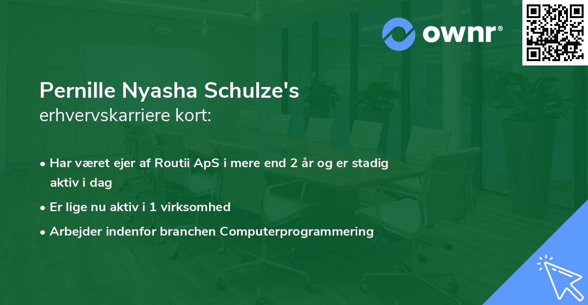 Pernille Nyasha Schulze's erhvervskarriere kort