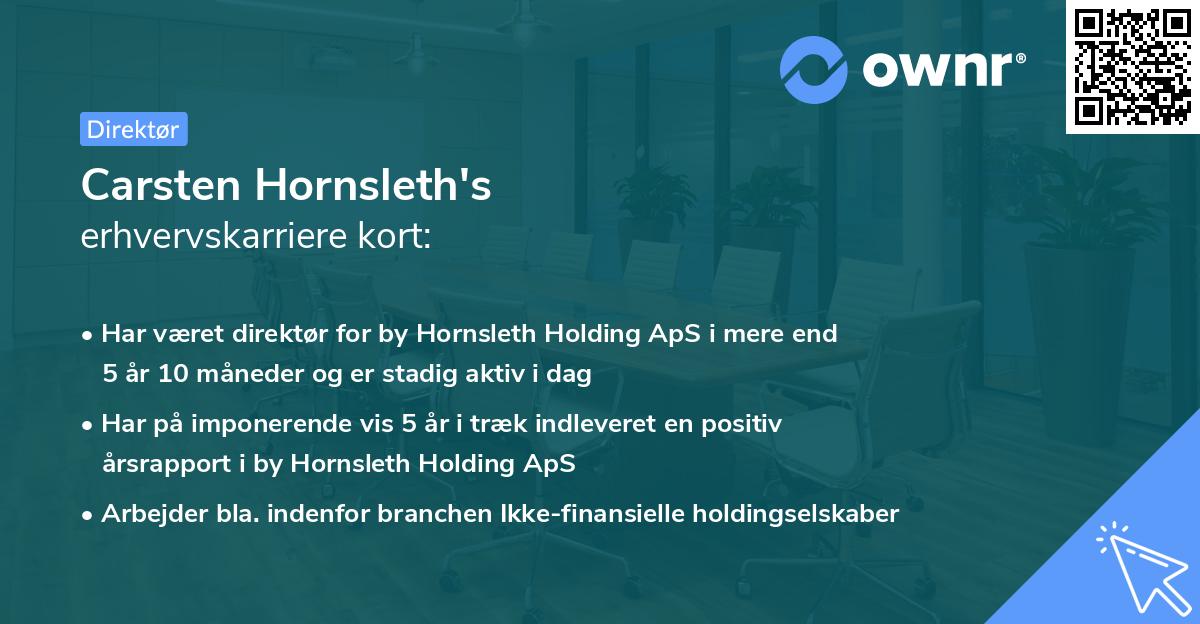 Carsten Hornsleth's erhvervskarriere kort