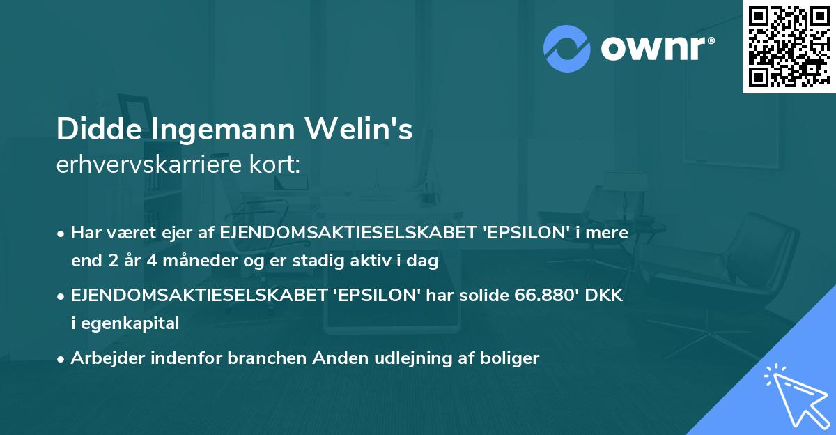 Didde Ingemann Welin's erhvervskarriere kort