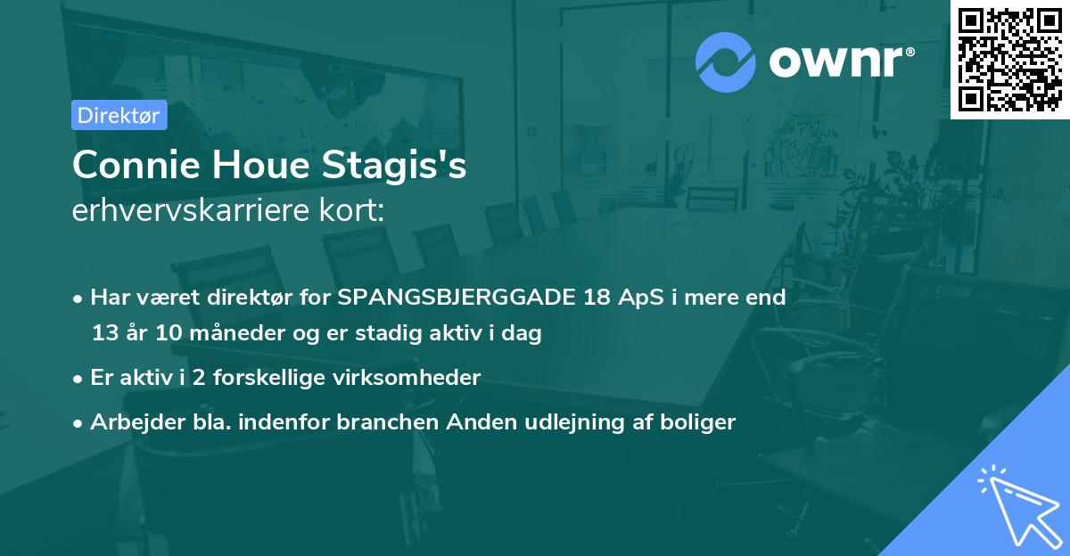 Connie Houe Stagis's erhvervskarriere kort