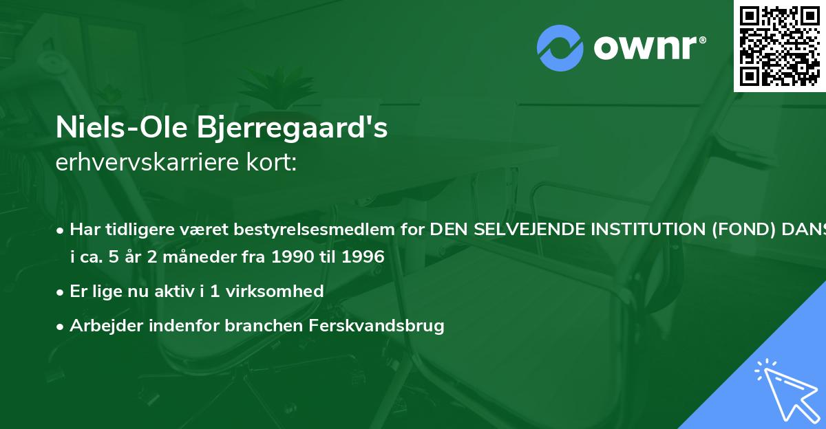 Niels-Ole Bjerregaard's erhvervskarriere kort