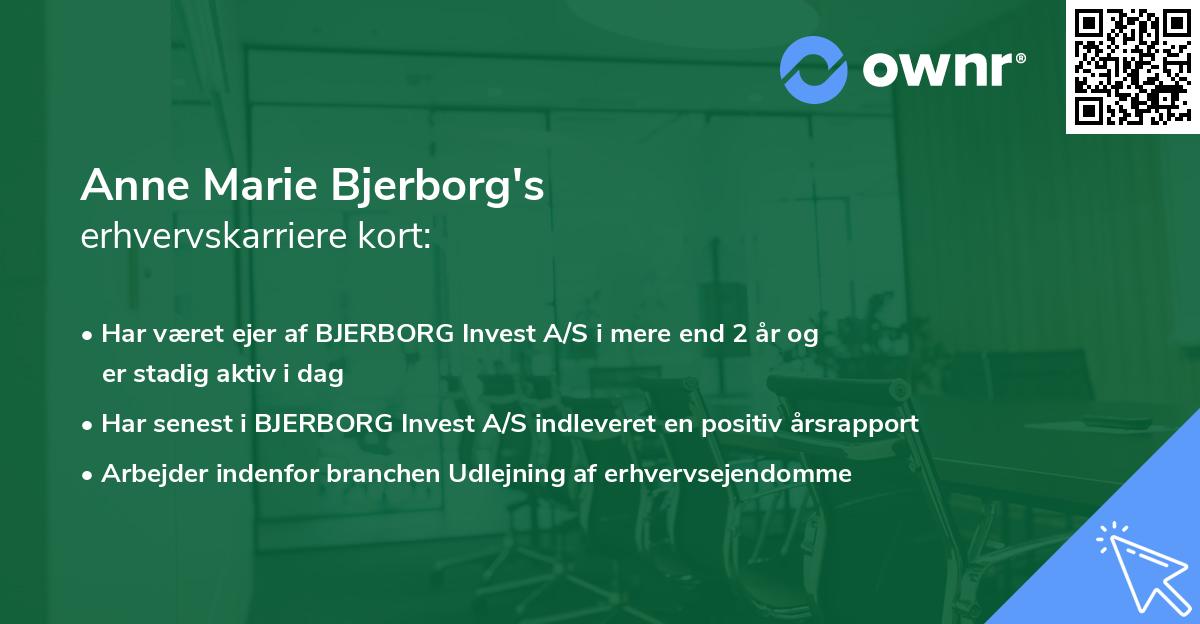 Anne Marie Bjerborg's erhvervskarriere kort