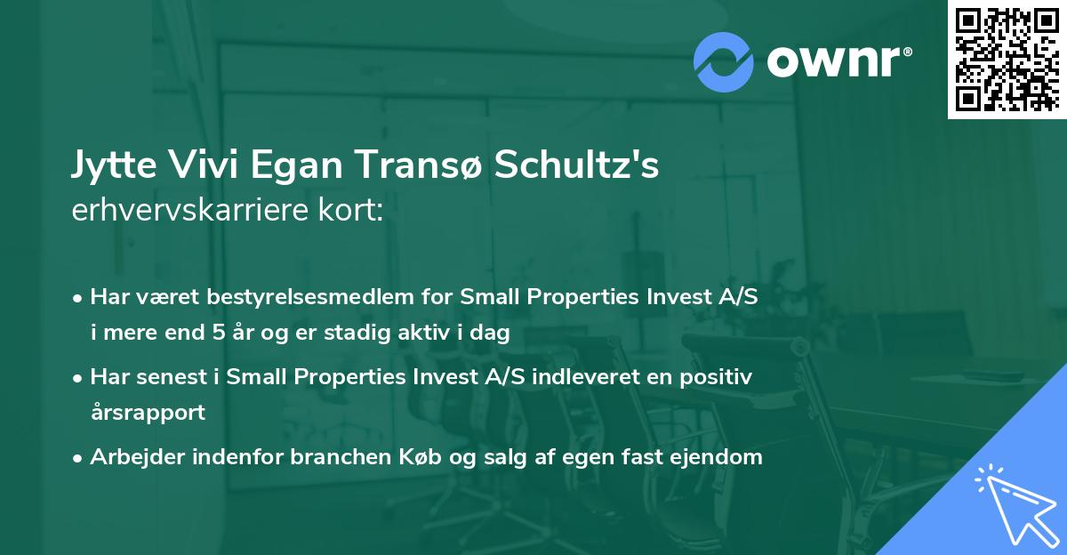 Jytte Vivi Egan Transø Schultz's erhvervskarriere kort