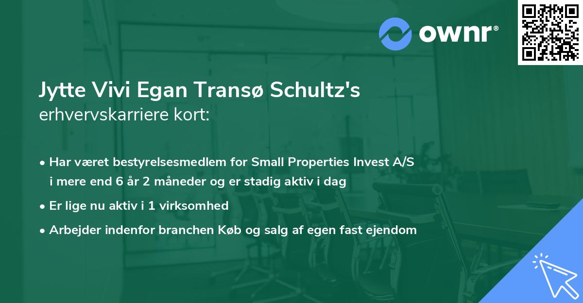 Jytte Vivi Egan Transø Schultz's erhvervskarriere kort