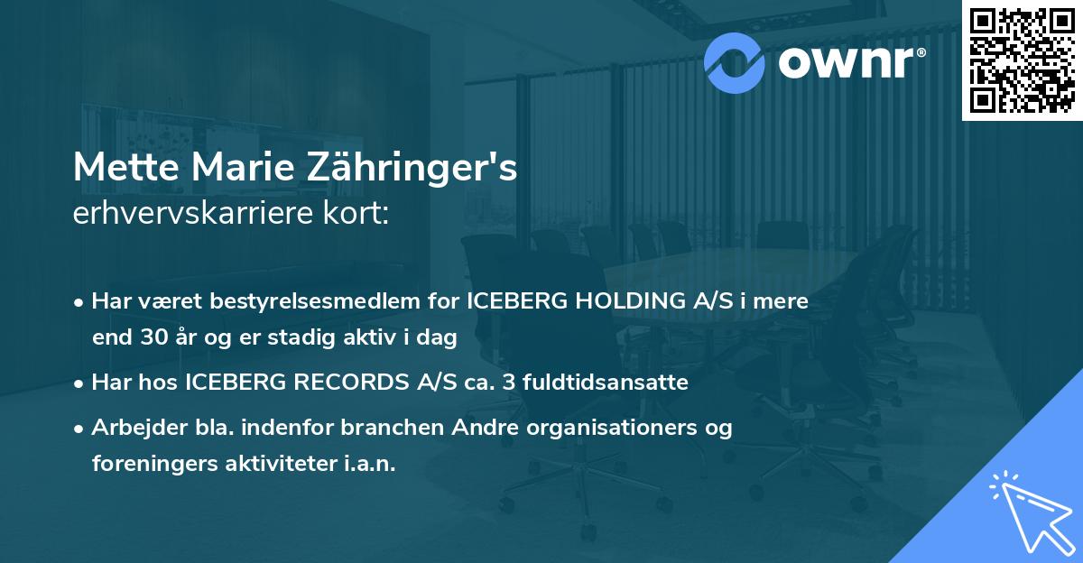 Mette Marie Zähringer's erhvervskarriere kort