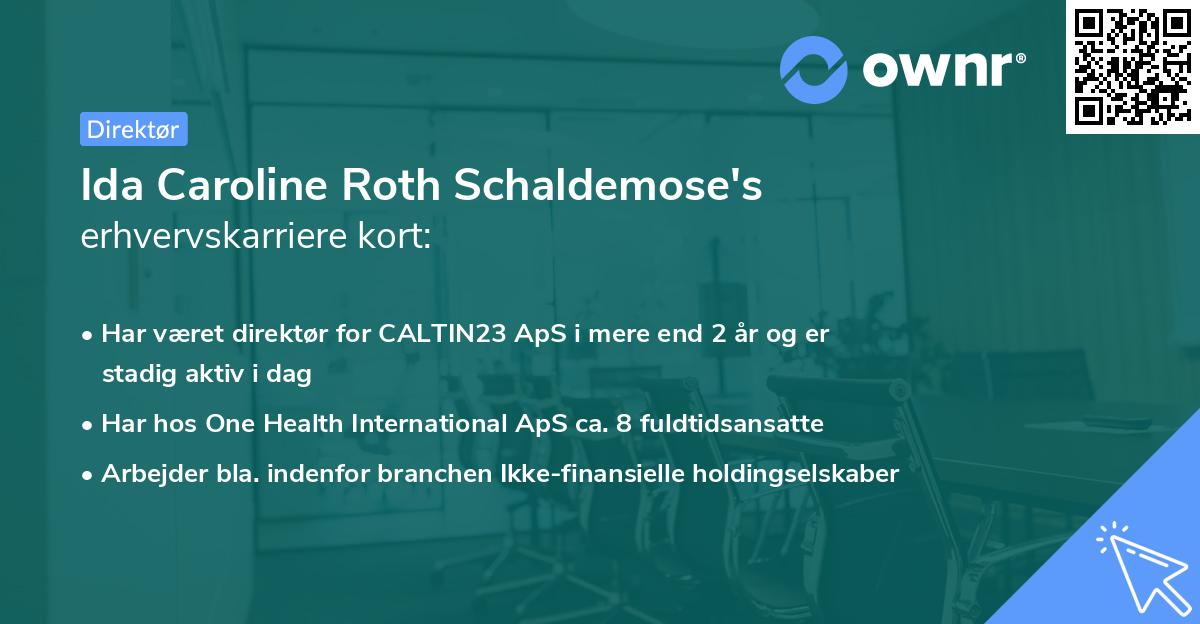 Ida Caroline Roth Schaldemose's erhvervskarriere kort