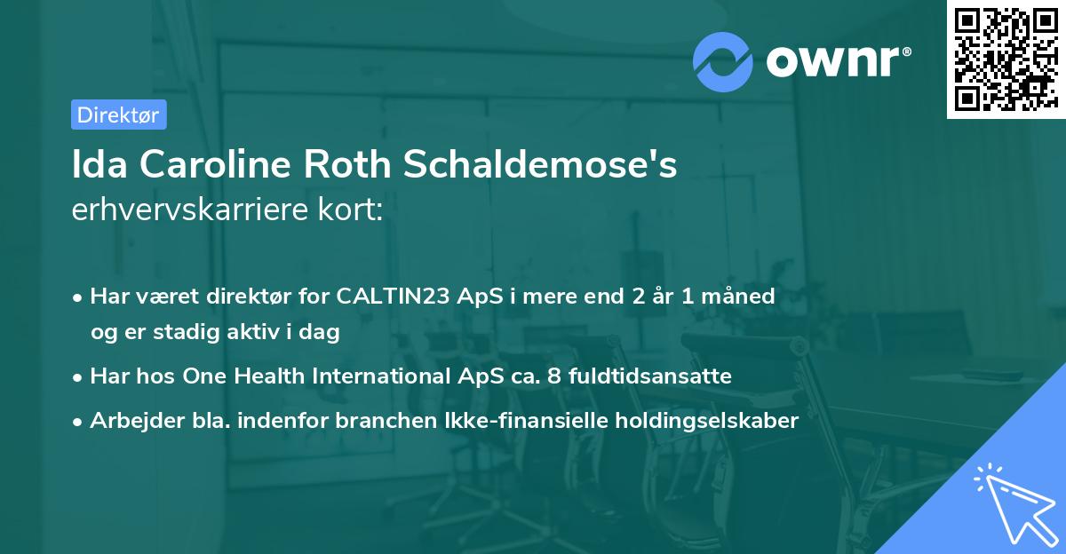 Ida Caroline Roth Schaldemose's erhvervskarriere kort