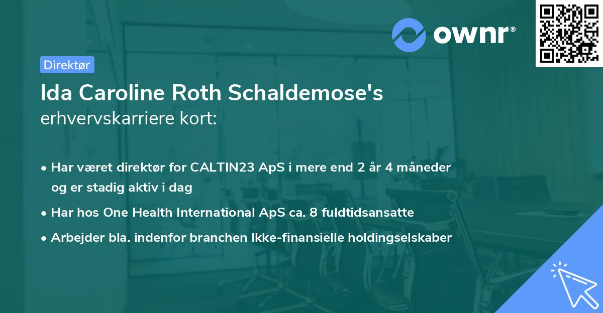 Ida Caroline Roth Schaldemose's erhvervskarriere kort