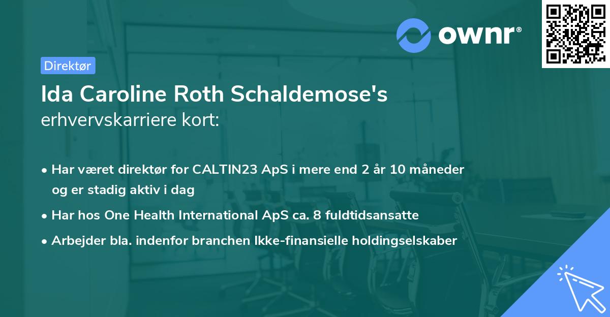 Ida Caroline Roth Schaldemose's erhvervskarriere kort