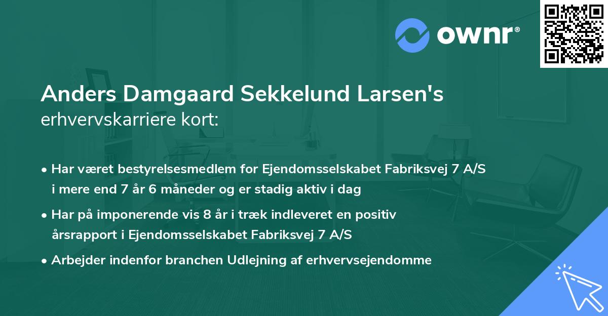 Anders Damgaard Sekkelund Larsen's erhvervskarriere kort