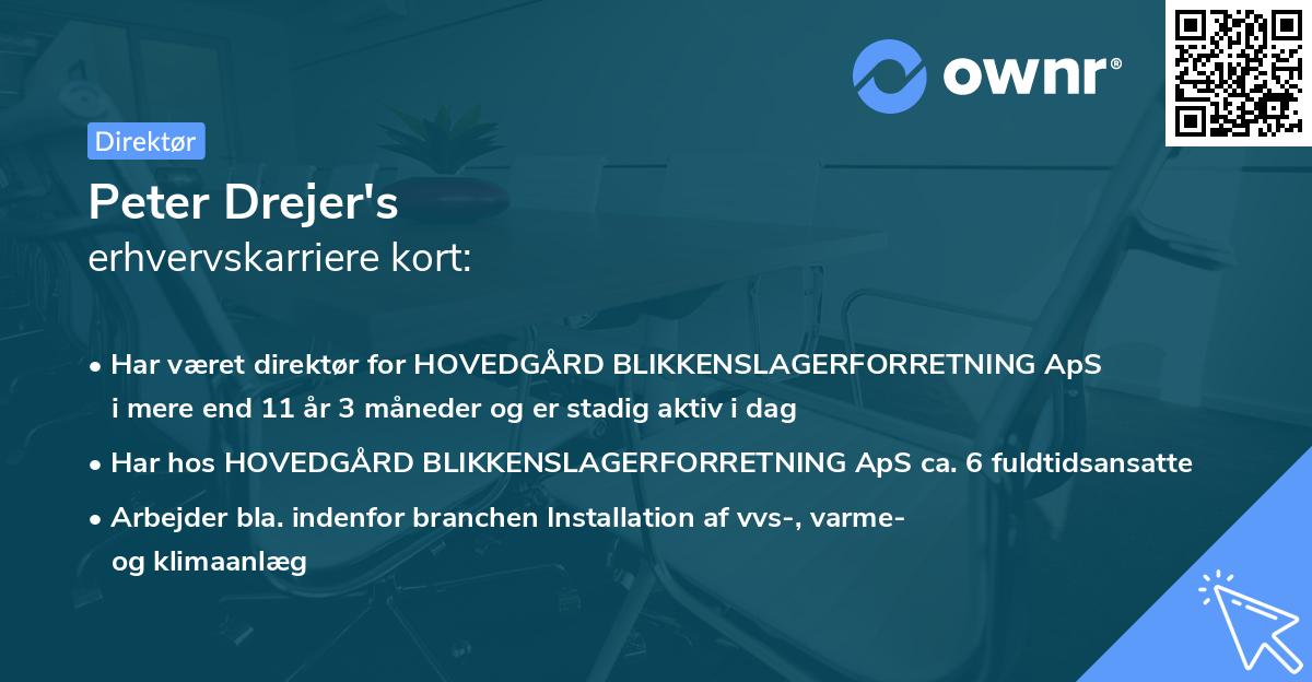 Peter Drejer's erhvervskarriere kort