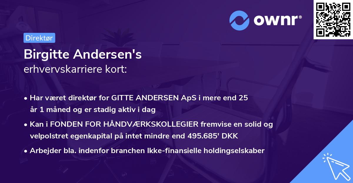 Birgitte Andersen's erhvervskarriere kort