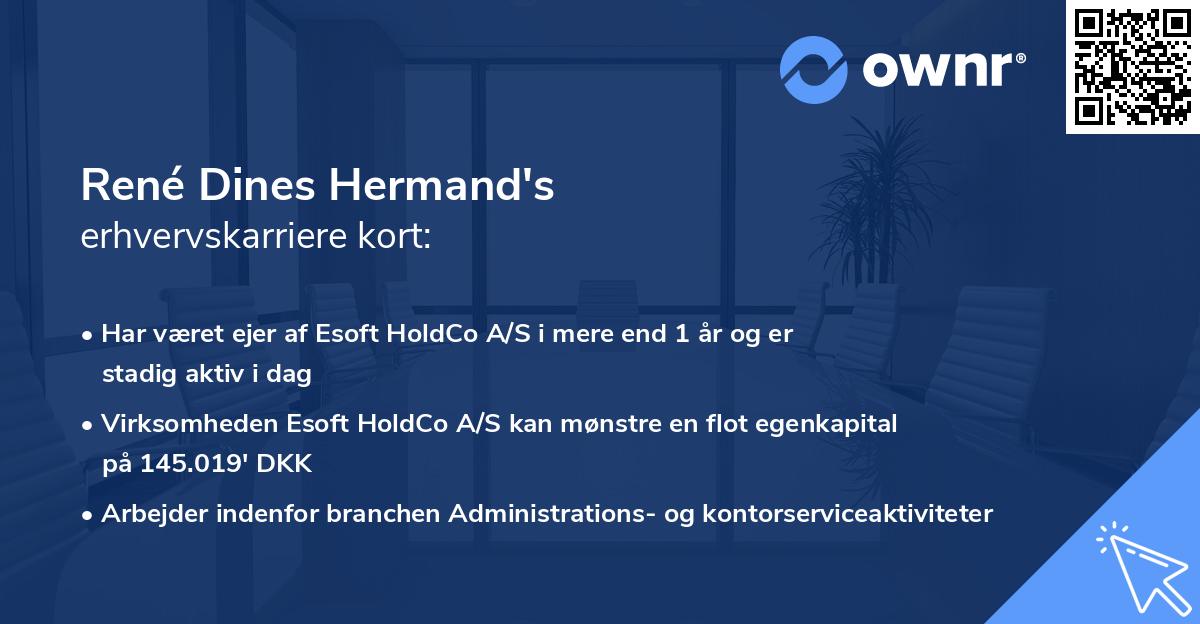 René Dines Hermand's erhvervskarriere kort