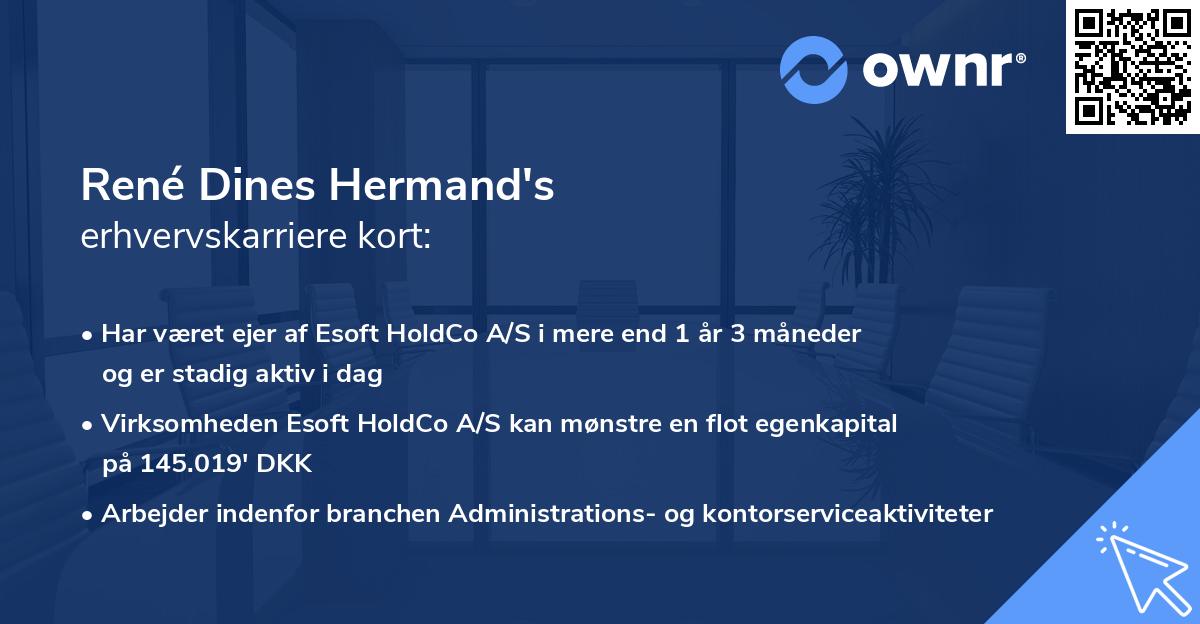 René Dines Hermand's erhvervskarriere kort