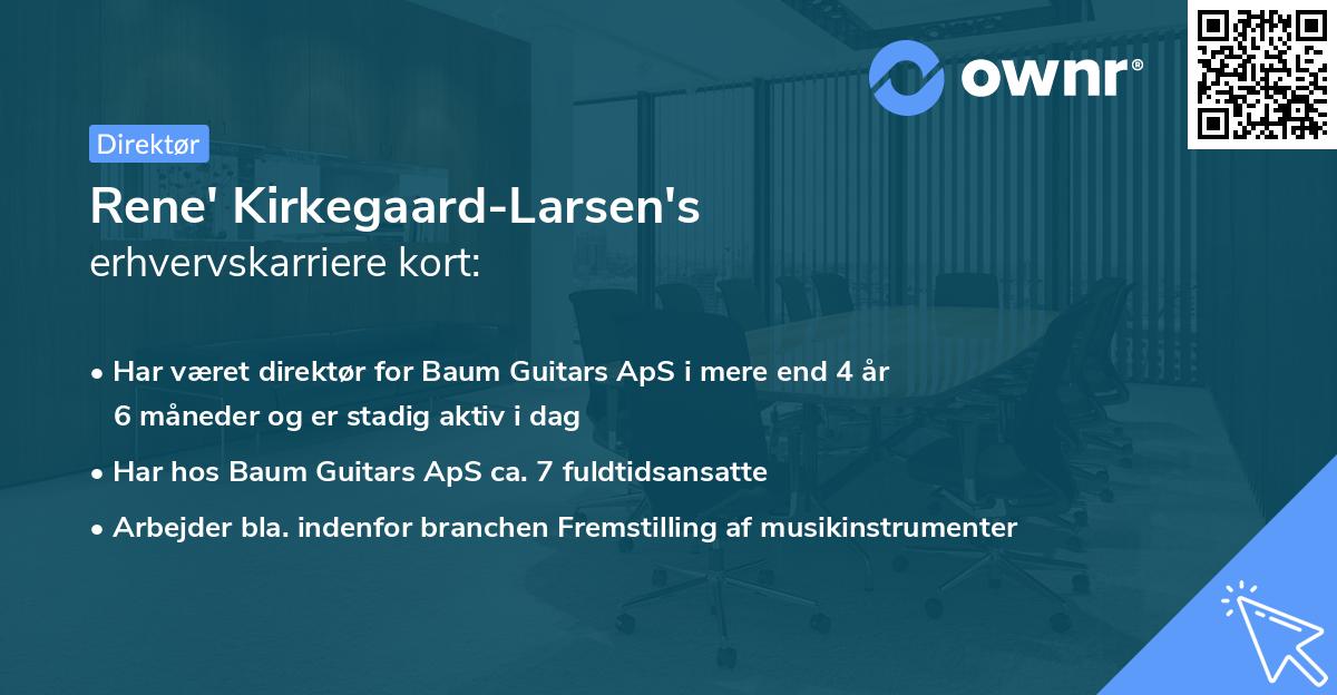 Rene' Kirkegaard-Larsen's erhvervskarriere kort