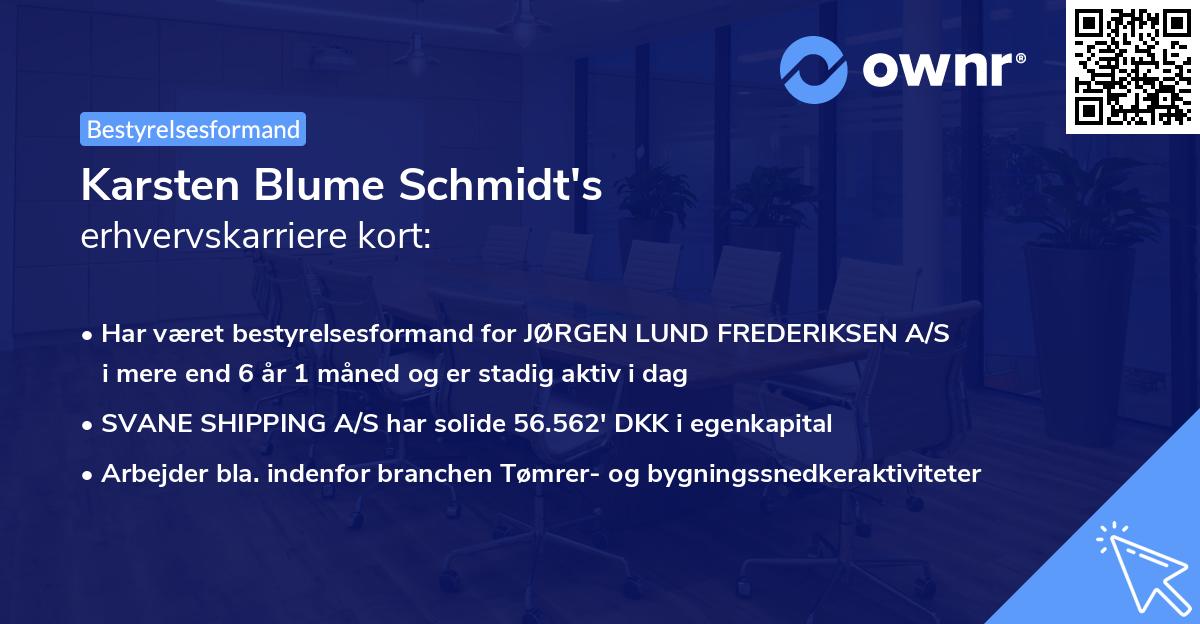 Karsten Blume Schmidt's erhvervskarriere kort