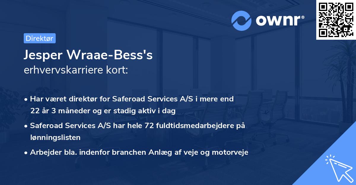 Jesper Wraae-Bess's erhvervskarriere kort