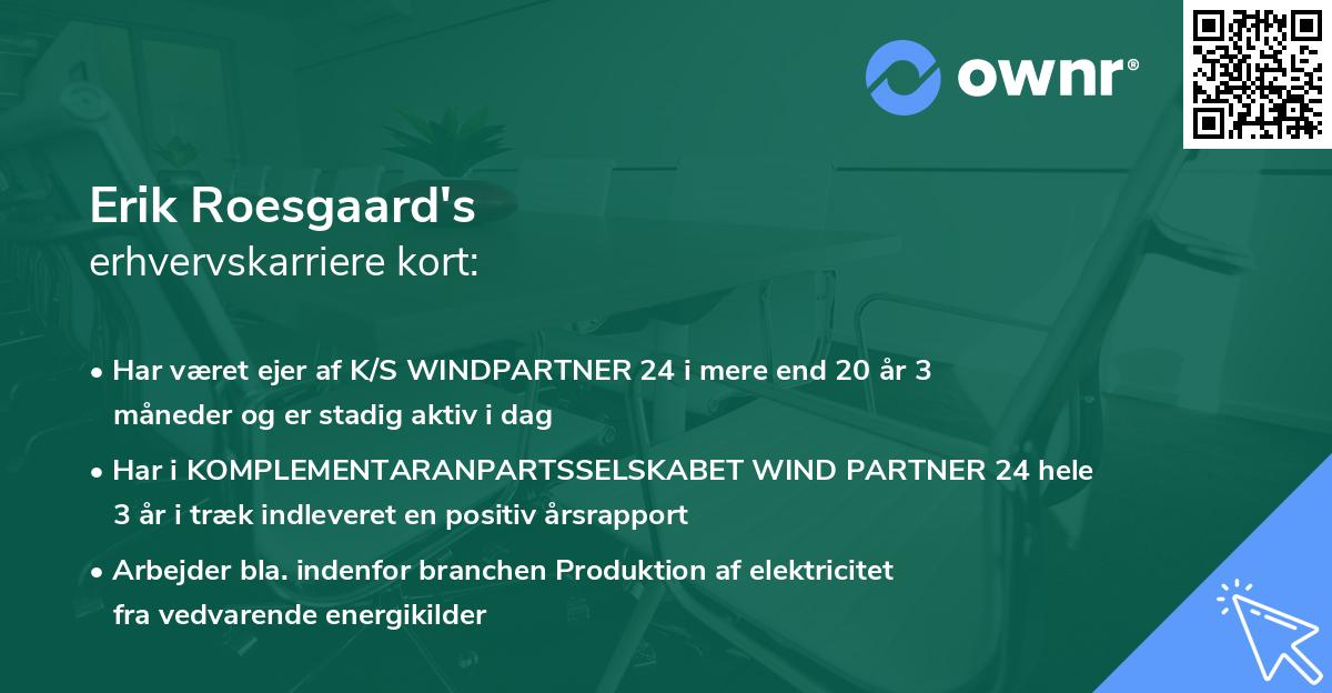 Erik Roesgaard's erhvervskarriere kort