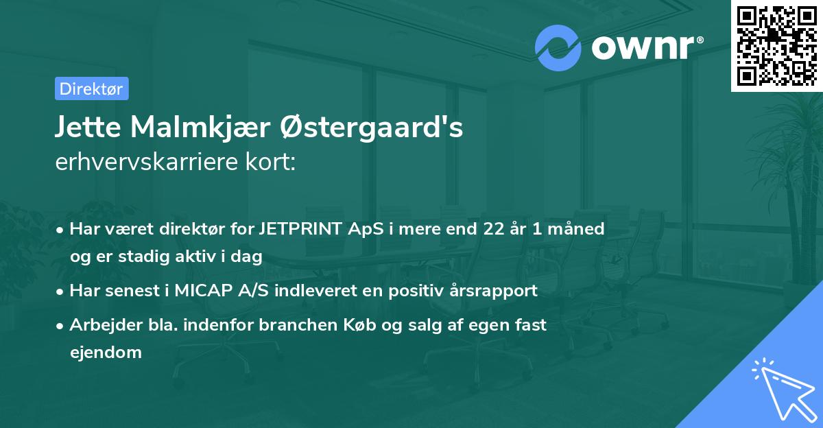 Jette Malmkjær Østergaard's erhvervskarriere kort
