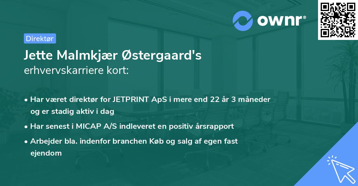 Jette Malmkjær Østergaard's erhvervskarriere kort