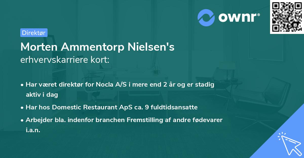 Morten Ammentorp Nielsen's erhvervskarriere kort