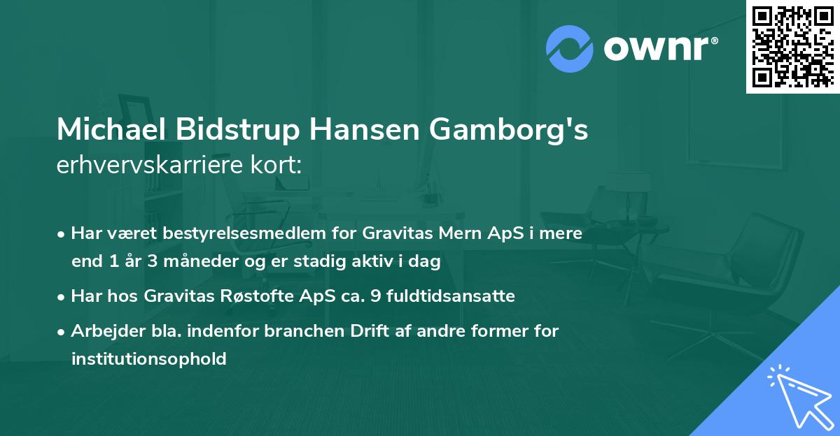 Michael Bidstrup Hansen Gamborg's erhvervskarriere kort