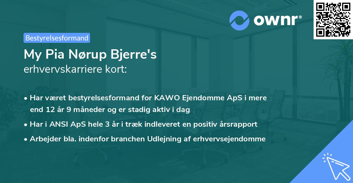 My Pia Nørup Bjerre's erhvervskarriere kort