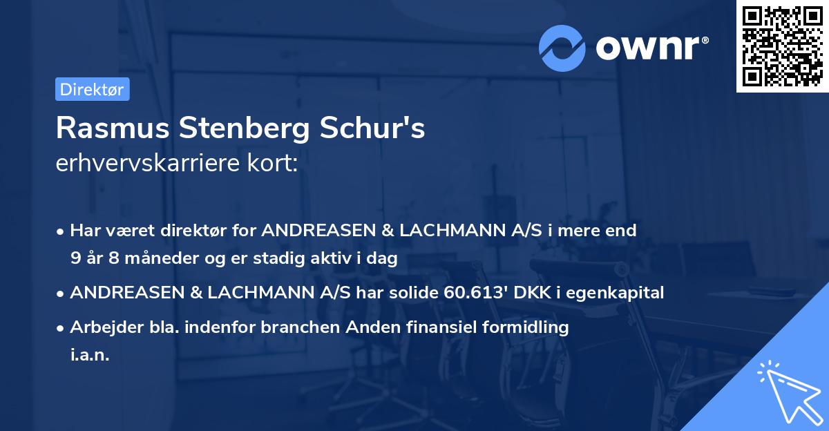 Rasmus Stenberg Schur's erhvervskarriere kort